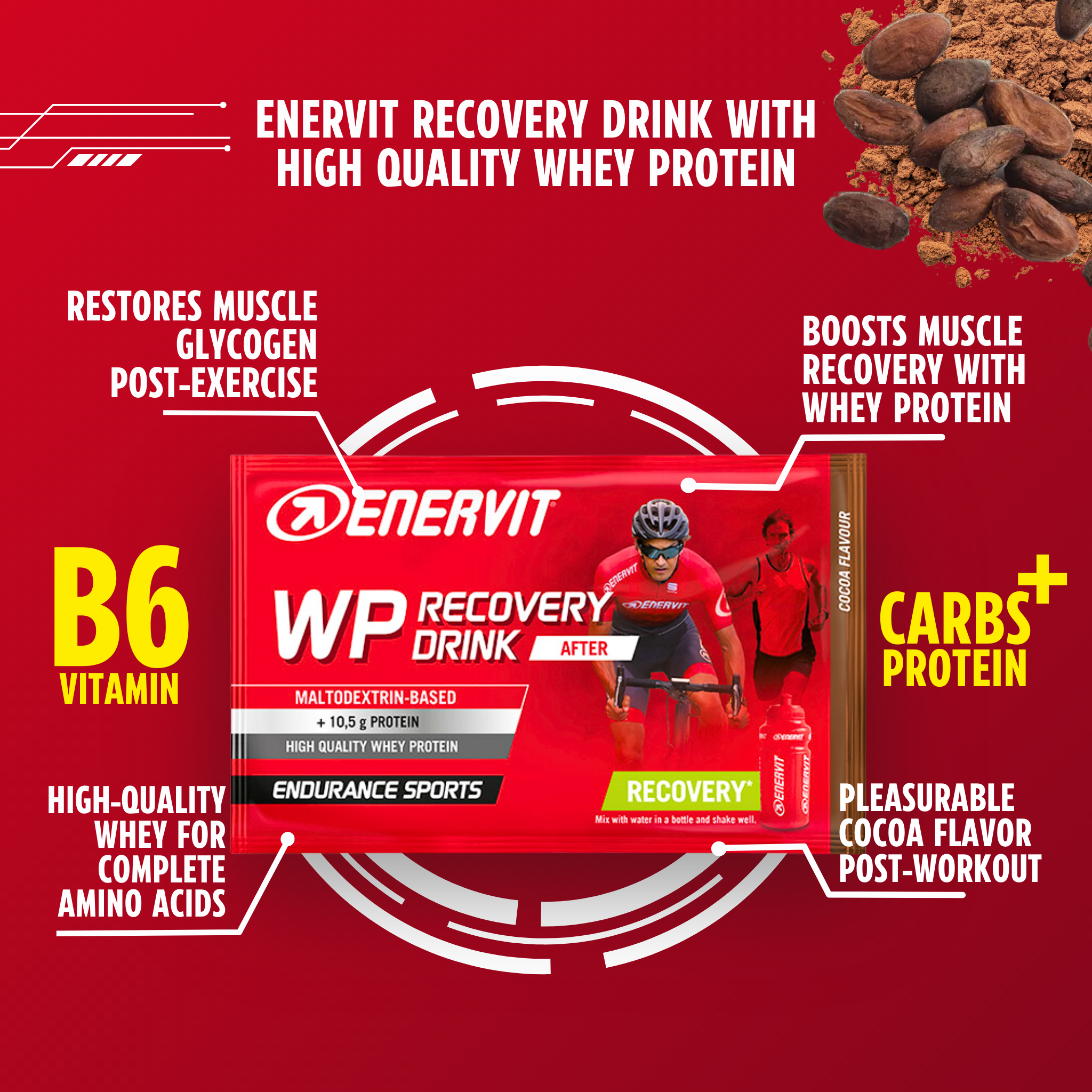 Enervit WP Recovery Drink Cocoa (50g)